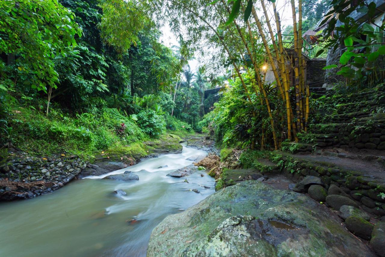 Ani'S Villas Ubud  Ngoại thất bức ảnh