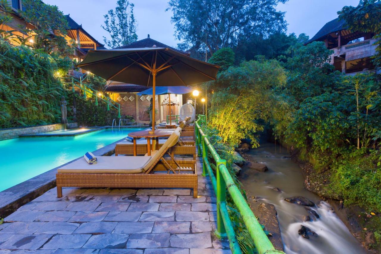 Ani'S Villas Ubud  Ngoại thất bức ảnh
